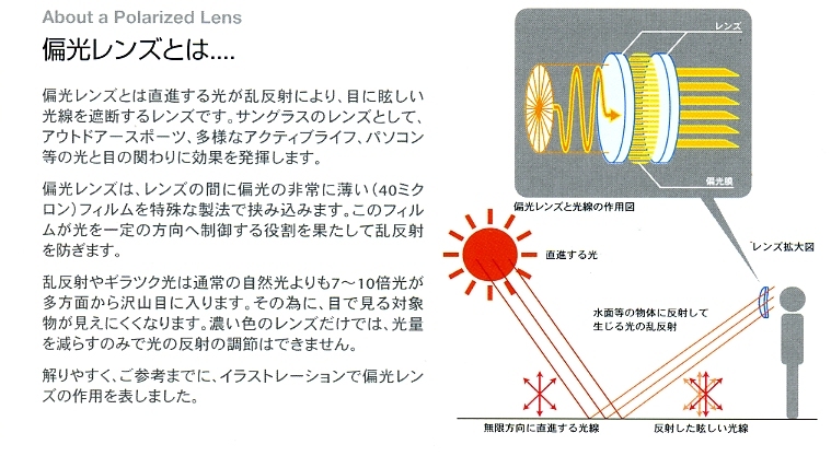 �Ό������Y�Ƃ́E�E�E